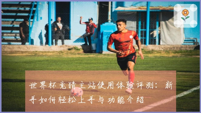 世界杯竞猜主站使用体验评测：新手如何轻松上手与功能介绍