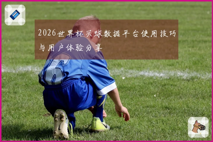 2026世界杯买球数据平台使用技巧与用户体验分享