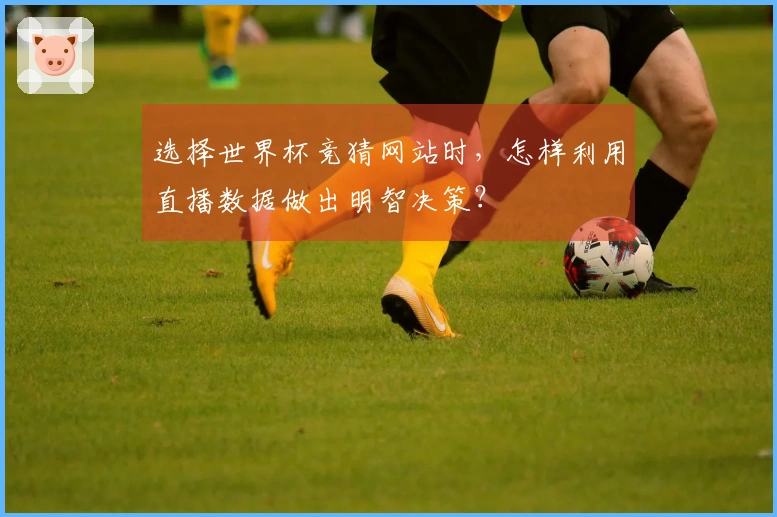 选择世界杯竞猜网站时，怎样利用直播数据做出明智决策？