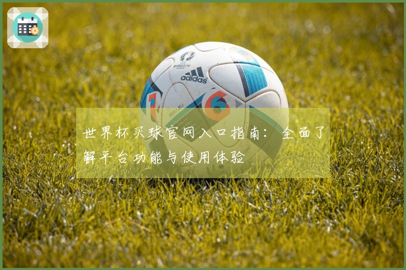 世界杯买球官网入口指南：全面了解平台功能与使用体验