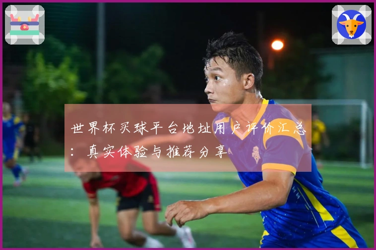 世界杯买球平台地址用户评价汇总：真实体验与推荐分享