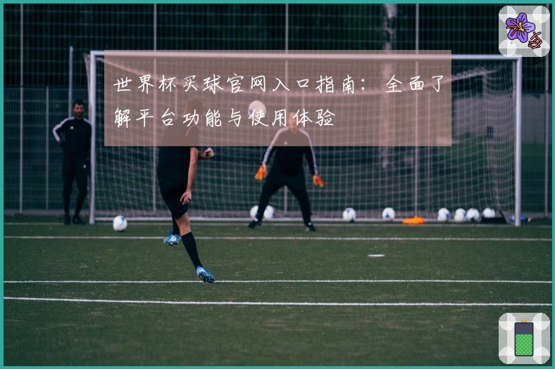 世界杯买球官网入口指南：全面了解平台功能与使用体验