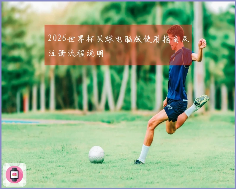 2026世界杯买球电脑版使用指南及注册流程说明