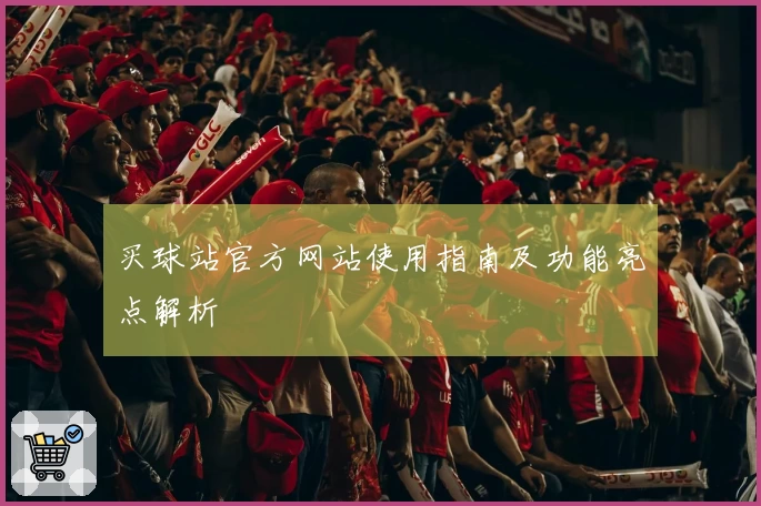 买球站官方网站使用指南及功能亮点解析