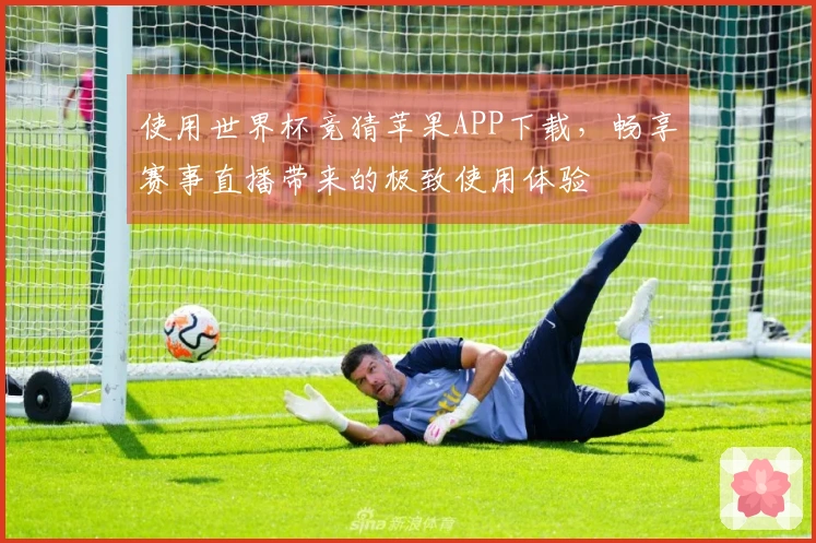 使用世界杯竞猜苹果APP下载，畅享赛事直播带来的极致使用体验
