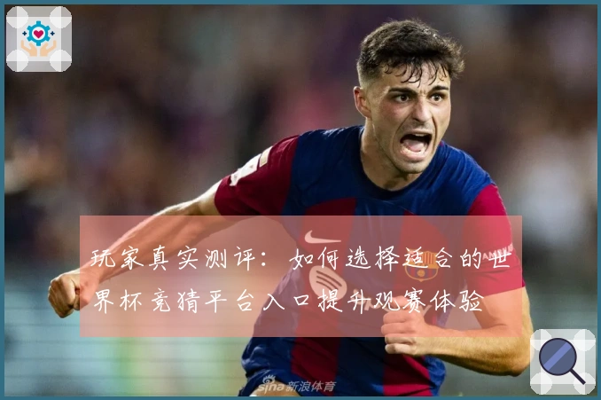玩家真实测评：如何选择适合的世界杯竞猜平台入口提升观赛体验