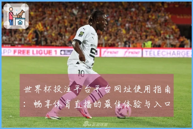 世界杯投注平台平台网址使用指南：畅享体育直播的最佳体验与入口说明