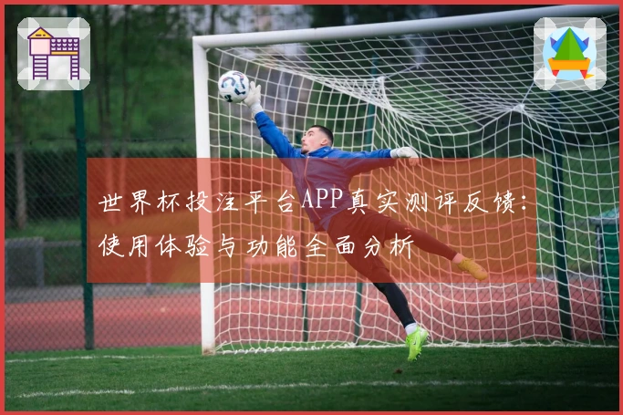 世界杯投注平台APP真实测评反馈：使用体验与功能全面分析
