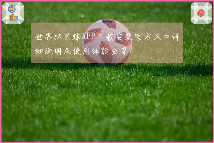 世界杯买球APP下载安装官方入口详细说明及使用体验分享