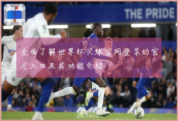 全面了解世界杯买球官网登录的官方入口及其功能介绍