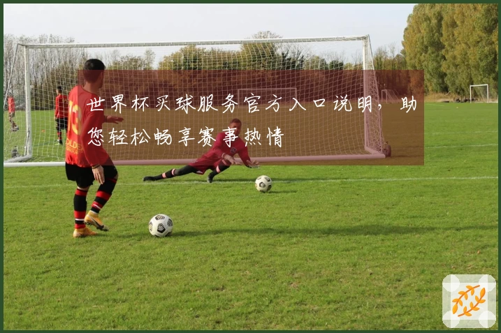 世界杯买球服务官方入口说明，助您轻松畅享赛事热情