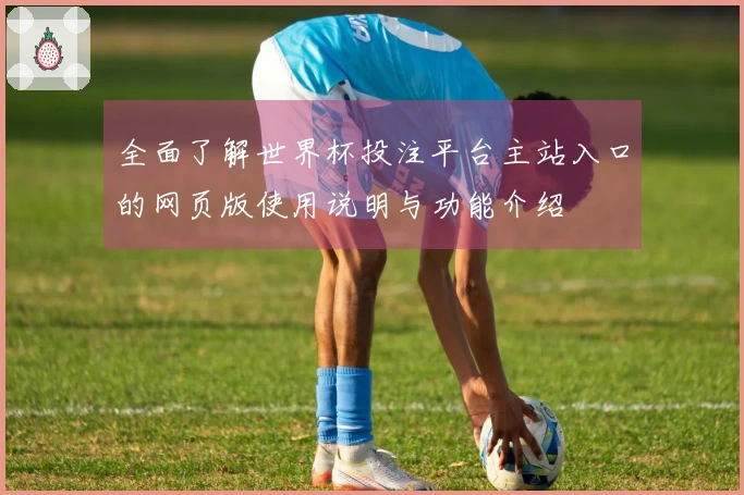 全面了解世界杯投注平台主站入口的网页版使用说明与功能介绍