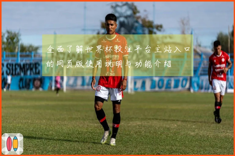 全面了解世界杯投注平台主站入口的网页版使用说明与功能介绍