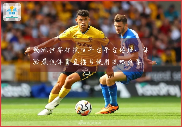 畅玩世界杯投注平台平台地址，体验最佳体育直播与使用攻略分享